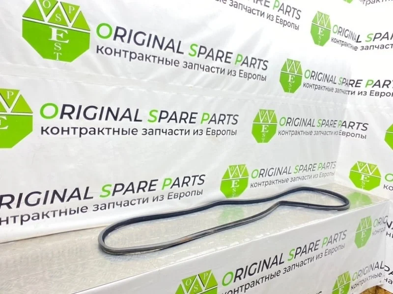 Резинка багажника Bmw 5-Series 2003 51718199261 E39 TOURING M57D25 256D1