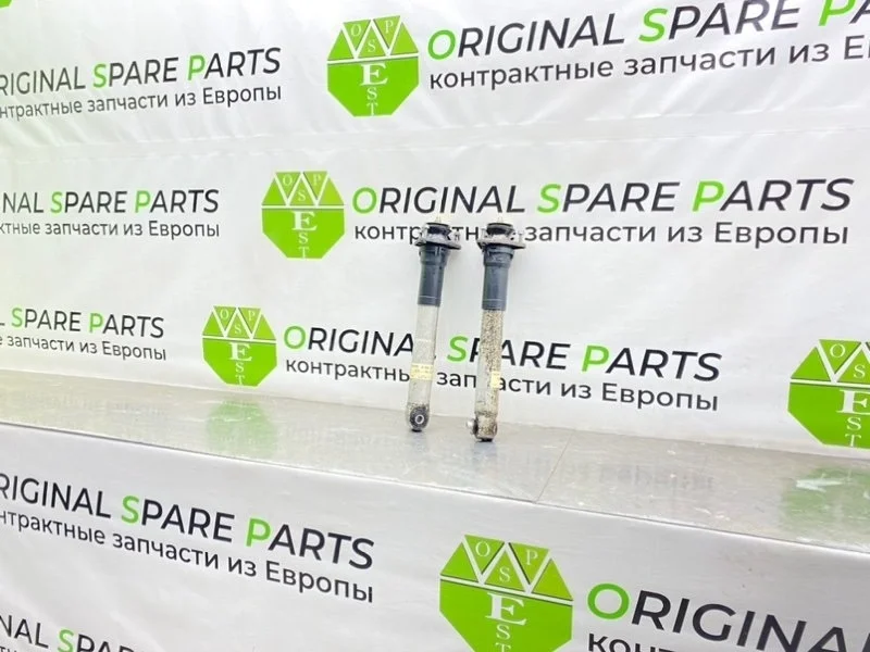 Амортизаторы Bmw 5-Series 2003 33521094046 E39 TOURING M57D25 256D1, задние