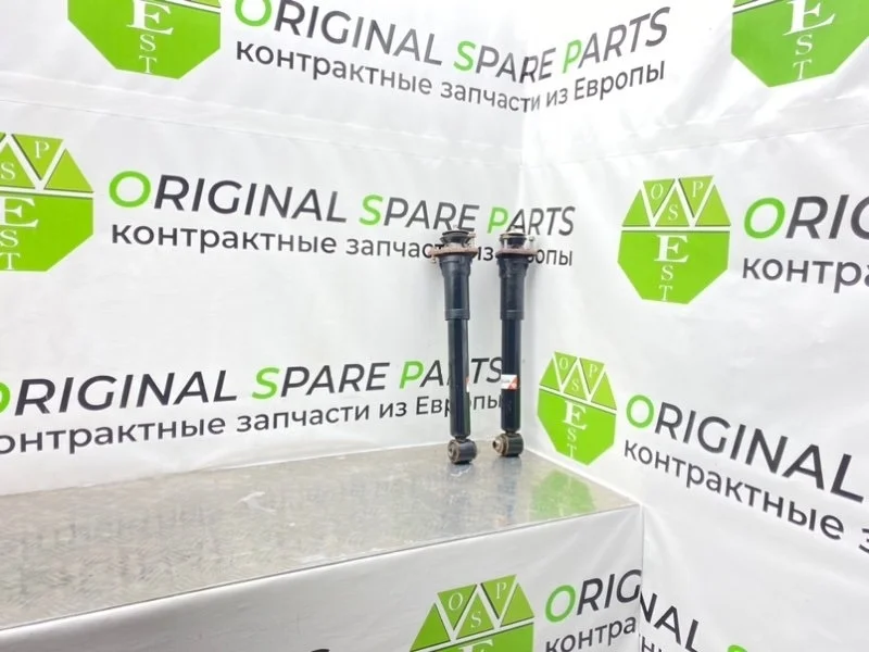 Амортизаторы Bmw 5-Series 2002 33521094046 E39 TOURING M57D30 306D1, задние