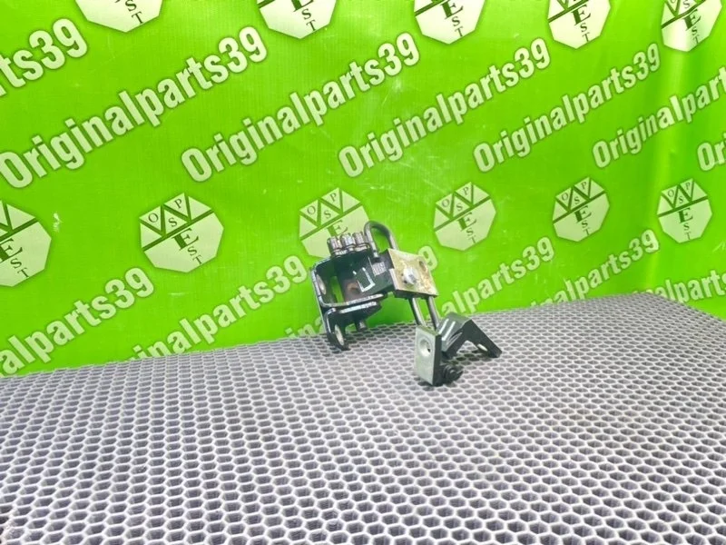 Петли дверей Audi A6 2001 4B0831412B C5 QUATTRO AKE 2.5TDI, передние правые