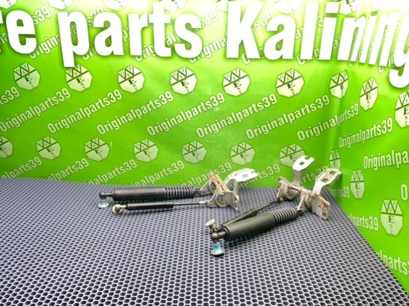 Петли багажника Bmw 5-Series 2002 41617007403 E39 TOURING M57D25 256D1