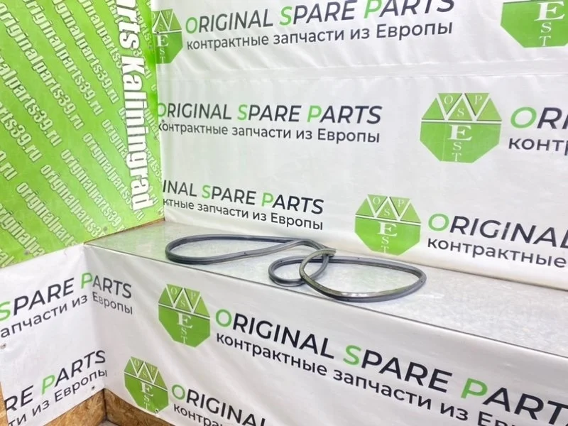 Уплотнитель двери Bmw 5-Series 2003 51229070563 E39 TOURING M57D30 306D1, задний левый