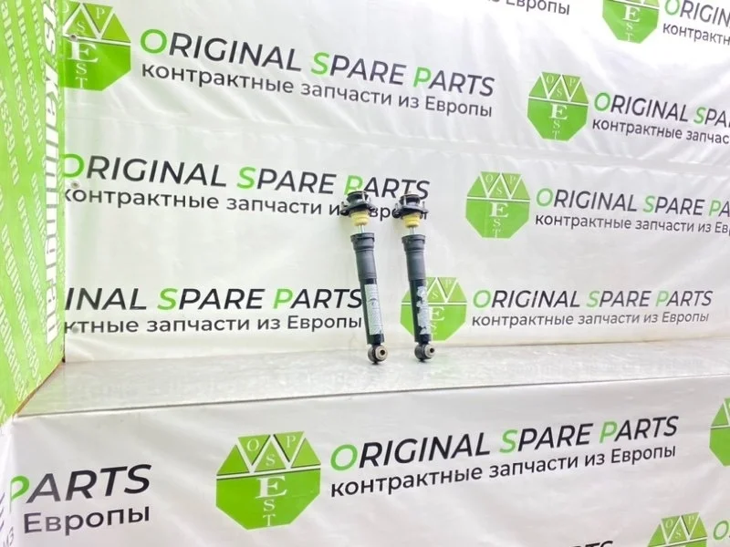 Амортизаторы Bmw 5-Series 2003 33521094046 E39 TOURING M47D20 204D1, задние