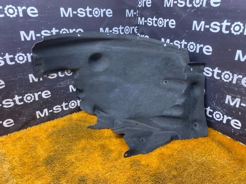 Подкрылок Bmw X3 2013 51717213643 F25 N20B20A, передний левый