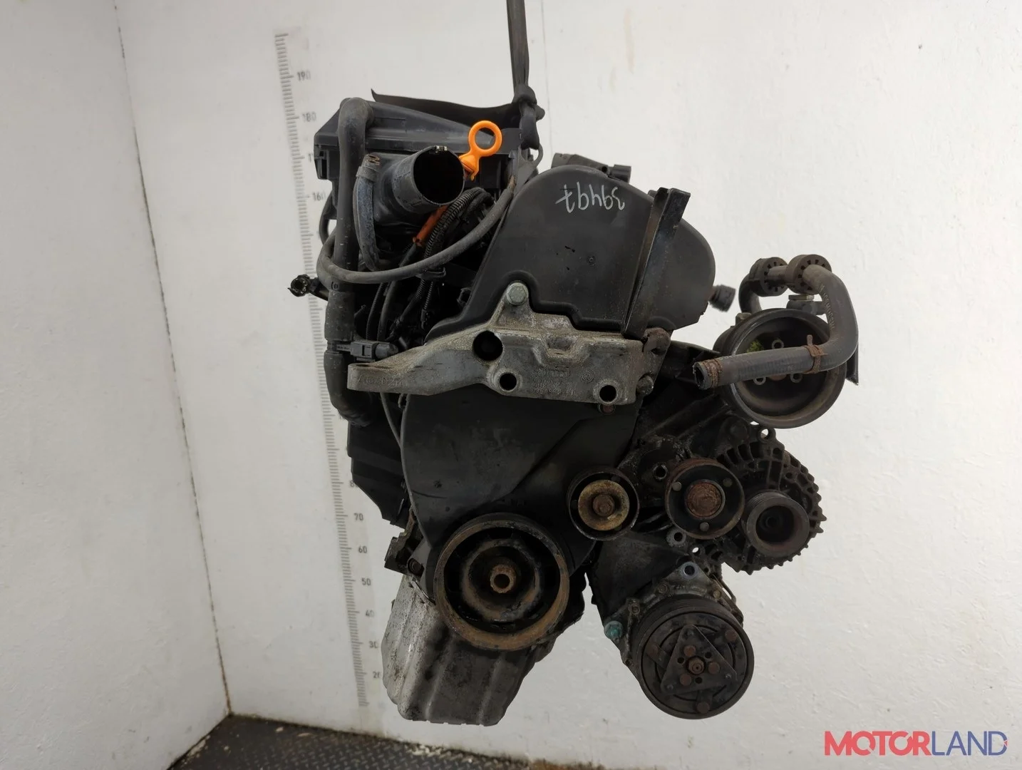 Двигатель (ДВС) Volkswagen Golf 4 1997-2006 КПП 5-ст.мех.(МКПП) AKQ Бензин 1.4 л Инжектор