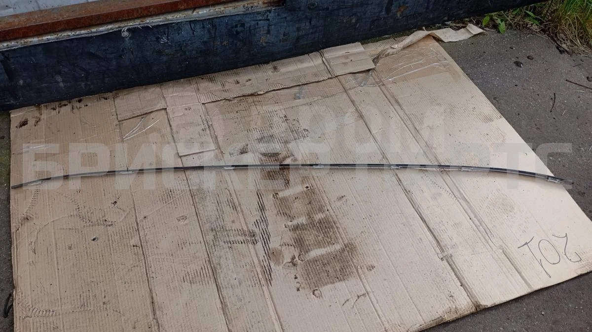 Молдинг крыши левый Хендай Соната 4  (EF)