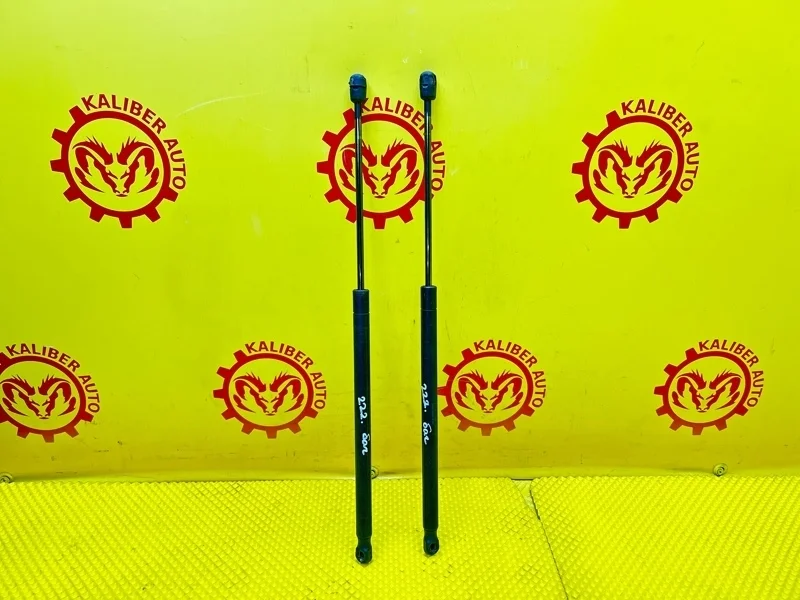 Амортизатор крышки багажника Land Rover Freelander 2 2007 LR002104 2.2 EFI TC DW12, задний