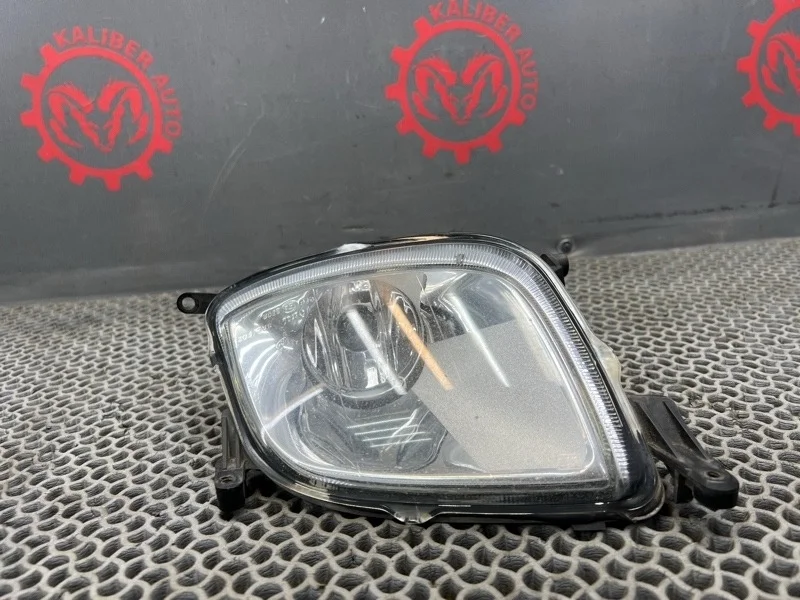 Фара противотуманная Porsche cayenne S 2003 7L5941699 955 4.5 M48.00, передняя левая