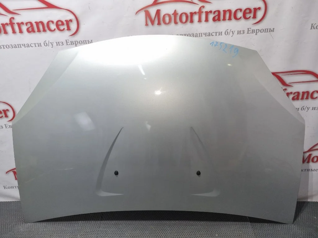 Капот Renault Sandero 6001551793