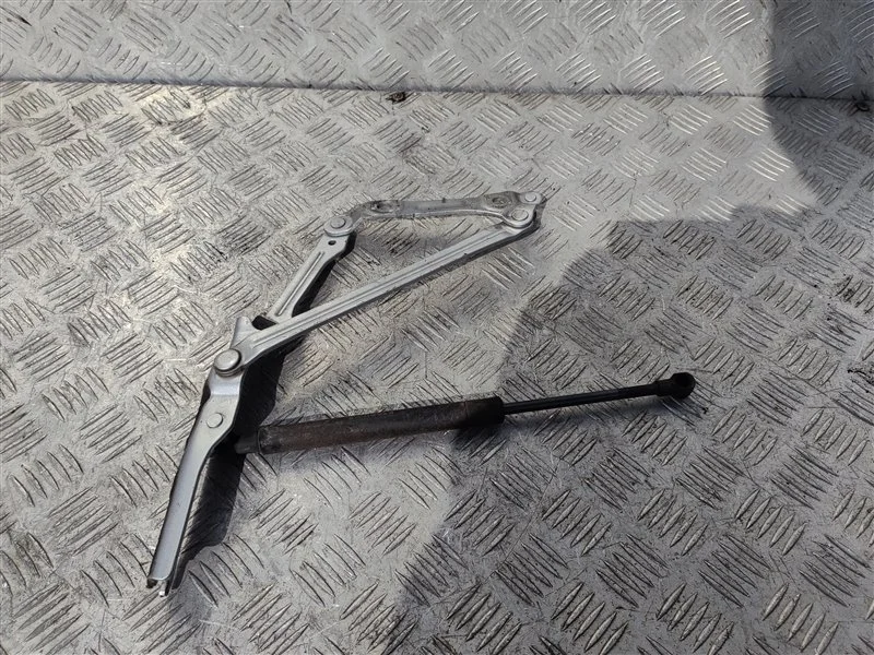 Петля капота Lexus GS 300 III (2004-2012) 2005 5342030220 СЕДАН 3.0 I 3GRFSE