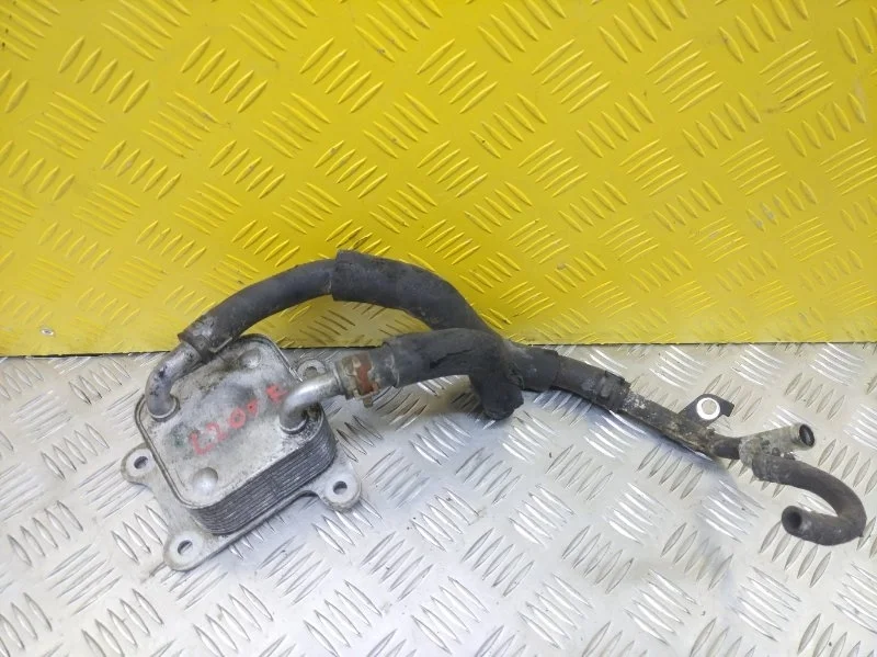 Радиатор охлаждения двигателя Mitsubishi L200 (2015-2022) 2019 1240A100