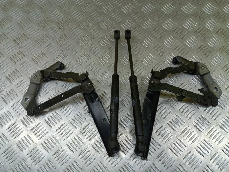 Петля капота Land Rover Range Rover Evoque I (2011-2018) 2016 LR001562 2.0 D 204DTD