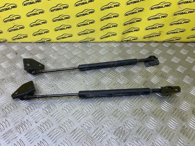 Амортизатор крышки багажника (3-5 двери) Nissan Pathfinder (R51M) 2004-2013 2007 90450EB31B ВНЕДОРОЖНИК 2.5 D YD25DDTI