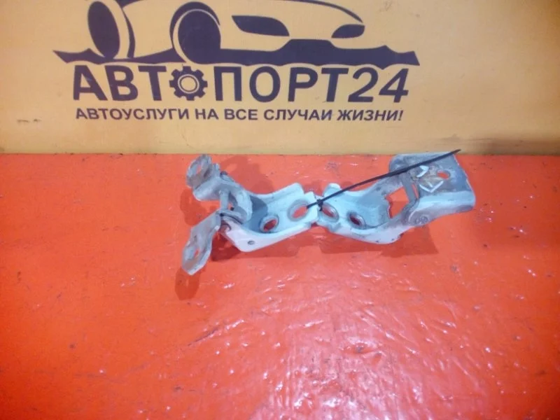 Петли двери комплект RENAULT FLUENCE 2014-2018 804200003R L30R K4M 838, задние правые