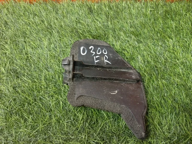 Пыльник крыла TOYOTA RAV4 2013 5315342010 XA40 3ZRFE, передний правый