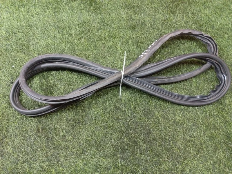 Уплотнительная резинка двери RENAULT MEGANE 2003-2008 8200077500 К4М, задняя правая