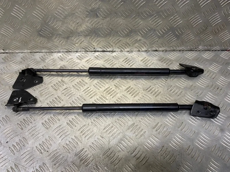 Амортизатор крышки багажника (3-5 двери) Nissan Pathfinder (R51M) 2004-2013 2006 90450EB31A ВНЕДОРОЖНИК 2.5 D YD25DDTI