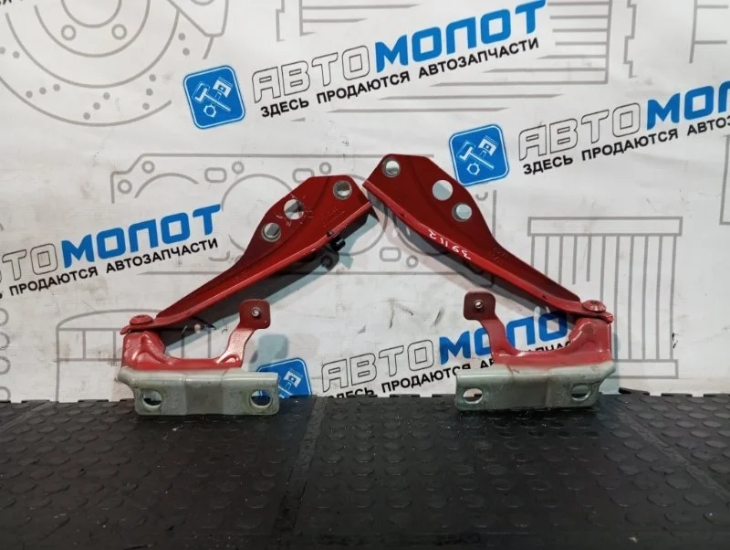 Петли капота Volvo C70 30753597 B5254T3