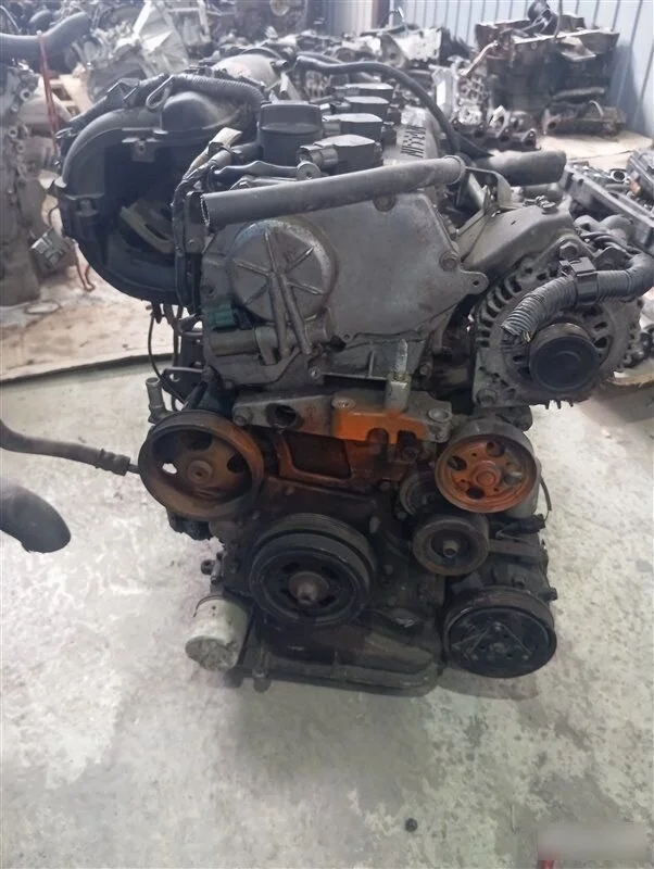 Двигатель Nissan Primera P12 (2001—2008)
