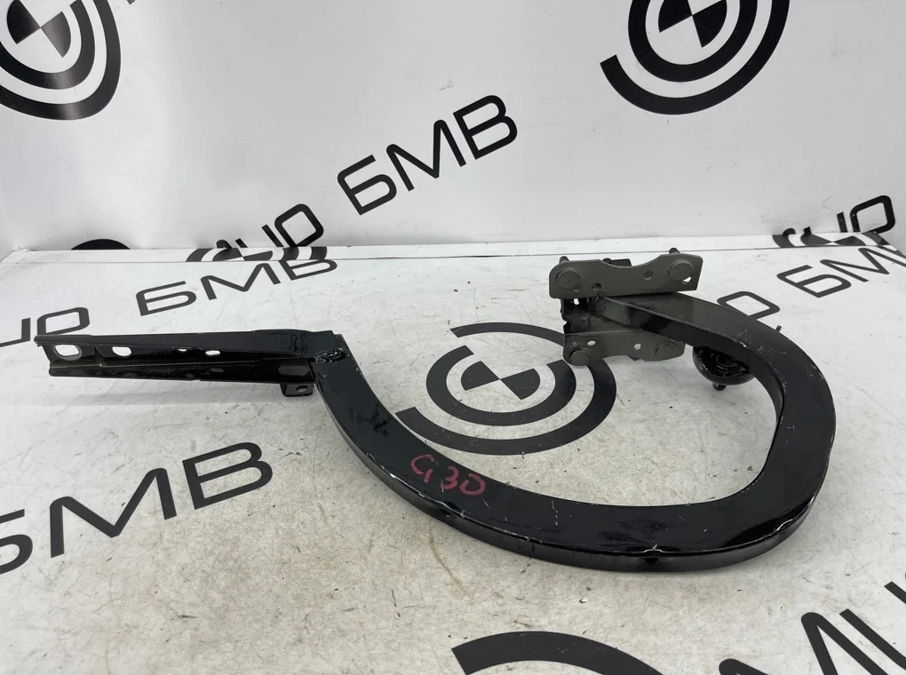 Петля крышки багажника Bmw 5-Series 41007440697 G30, левая