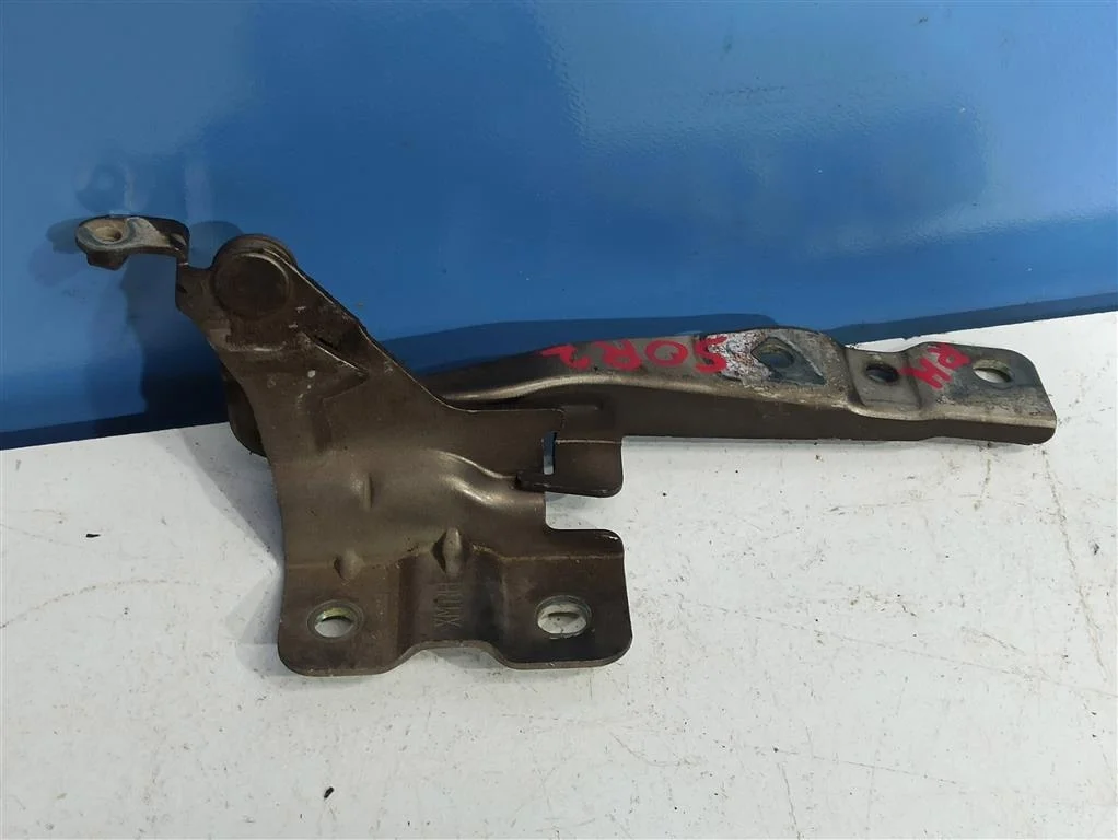 петля капота Kia Sorento 2 XM 2009-2012  11.03.2010