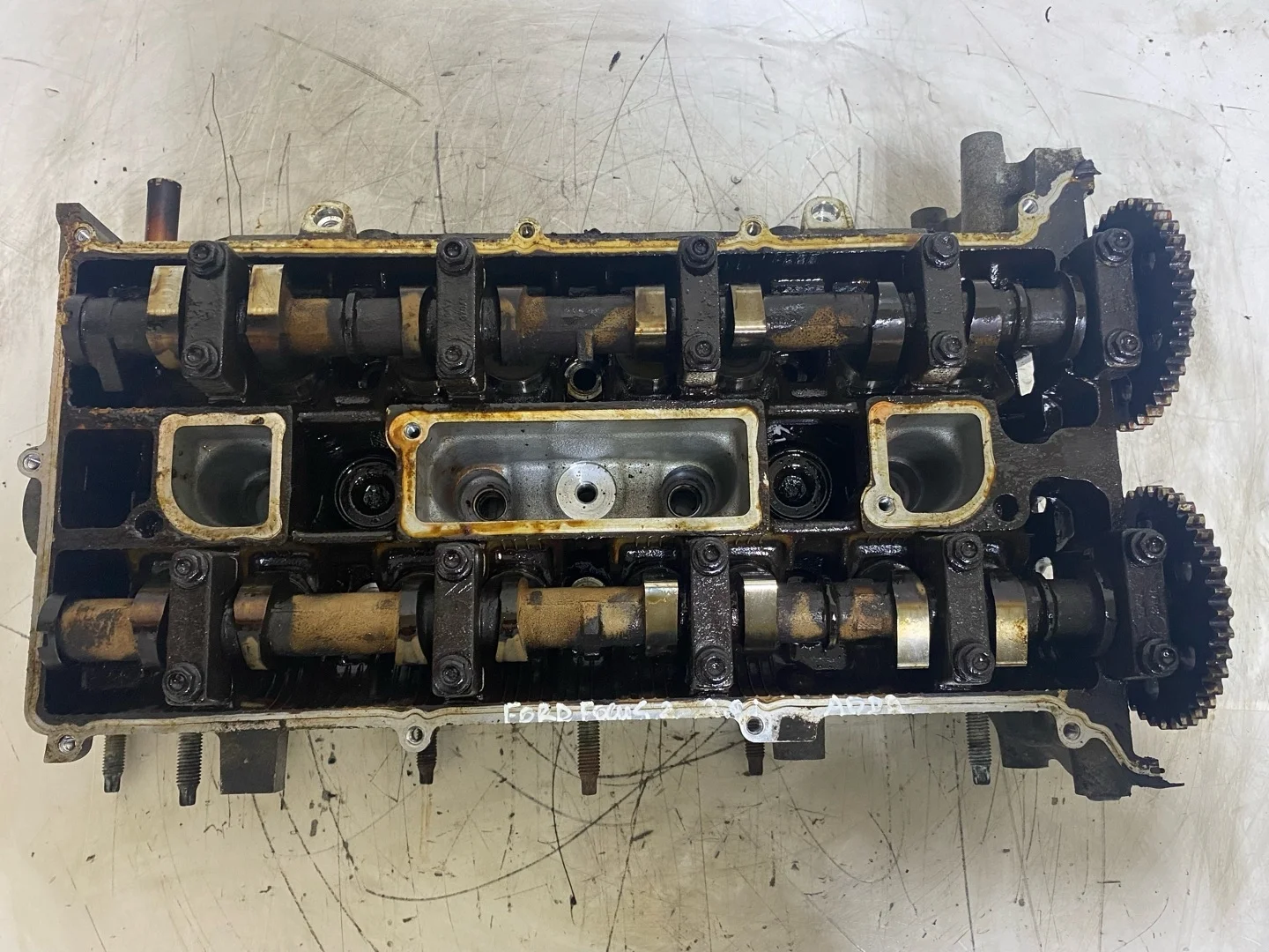 головка блока цилиндров Ford Focus 2