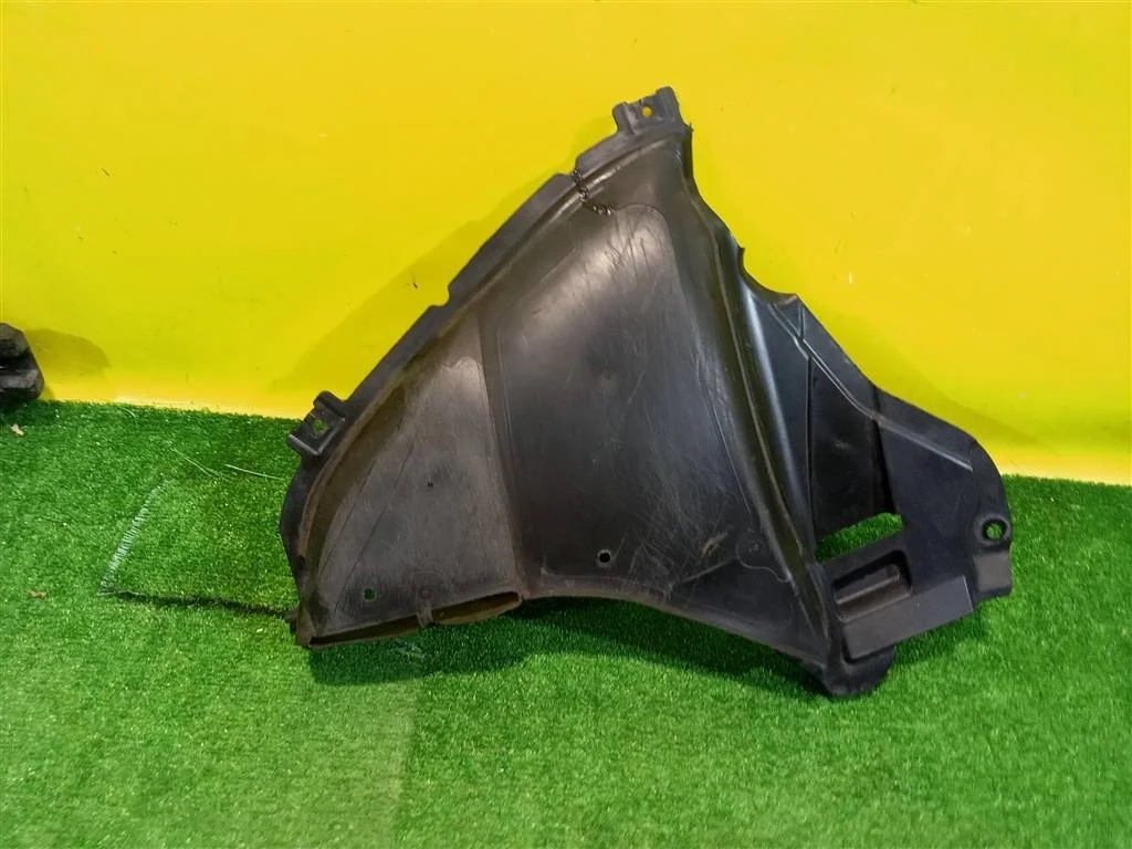 Пыльник переднего бампера  BMW 5 G30 2016 51718060032 25780