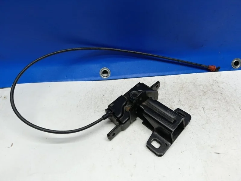 Замок багажника с петлей Bmw X5 2007 51248408963 E53