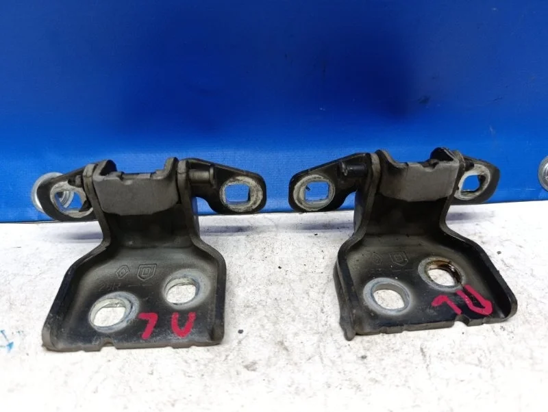 Петля двери Renault Logan 1 2014 804207876R L90 1.4 K7J710, передняя левая