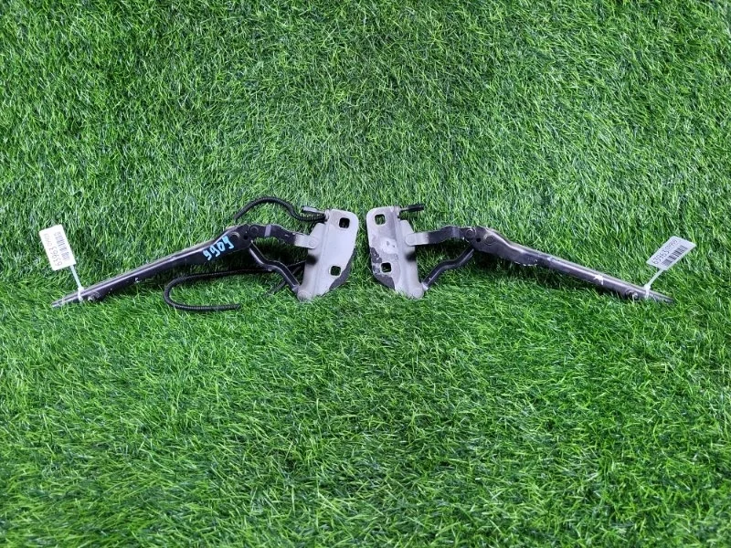 Петли капота Audi A8 2008 4E0823301G D3 BVJ 4.2, передние