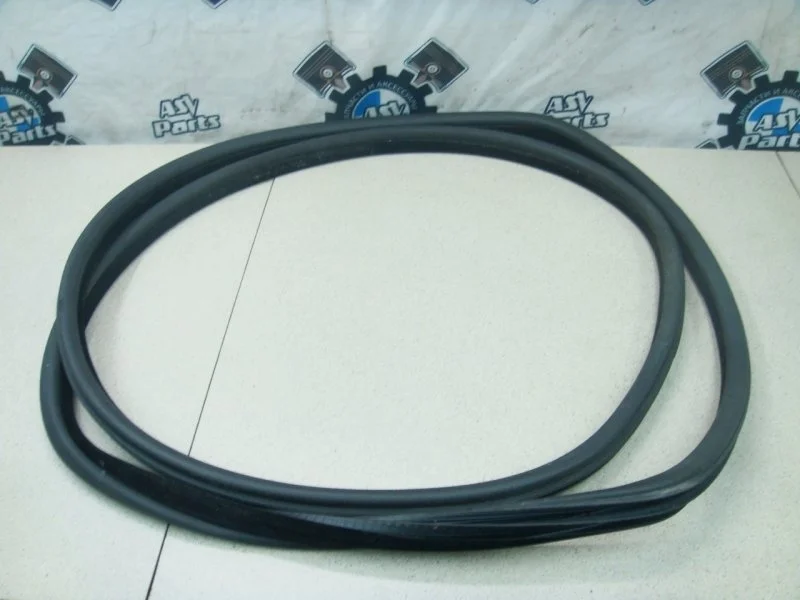 Уплотнитель дверного проема BMW X5 2002 E53