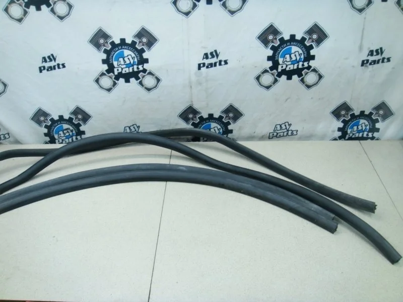 Уплотнительная резинка боковой двери BMW X5 2002 E53