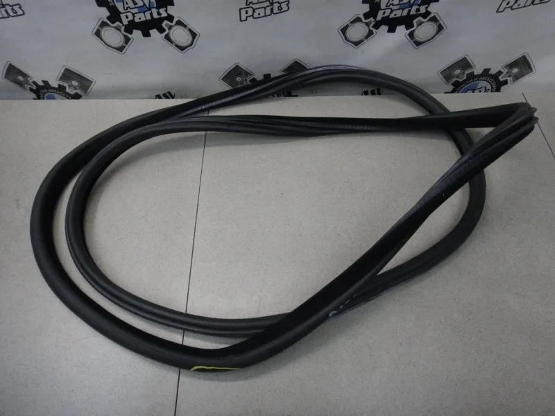 Уплотнитель дверного проема BMW X5 2004 E53