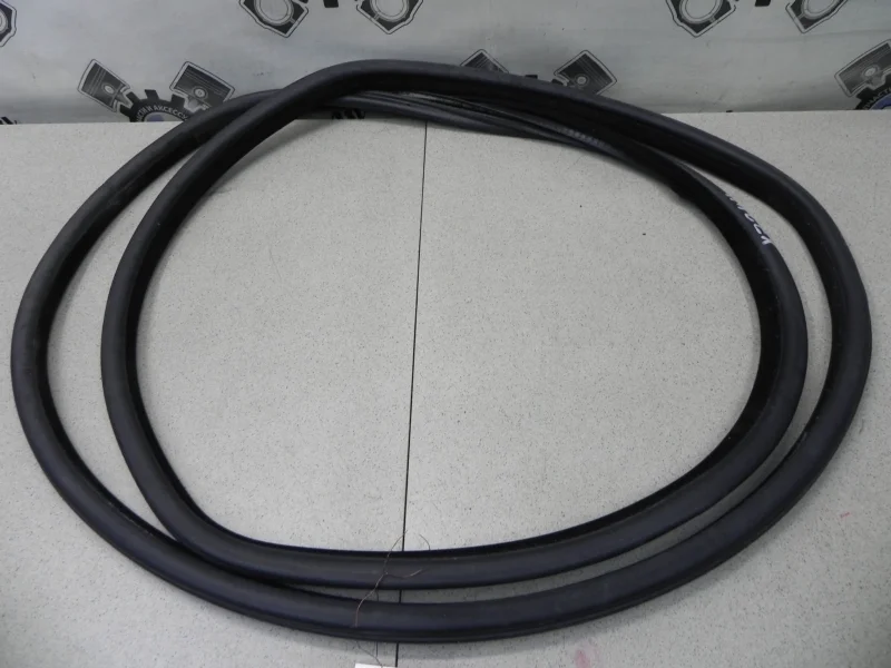 Уплотнитель дверного проема BMW X5 2003 E53