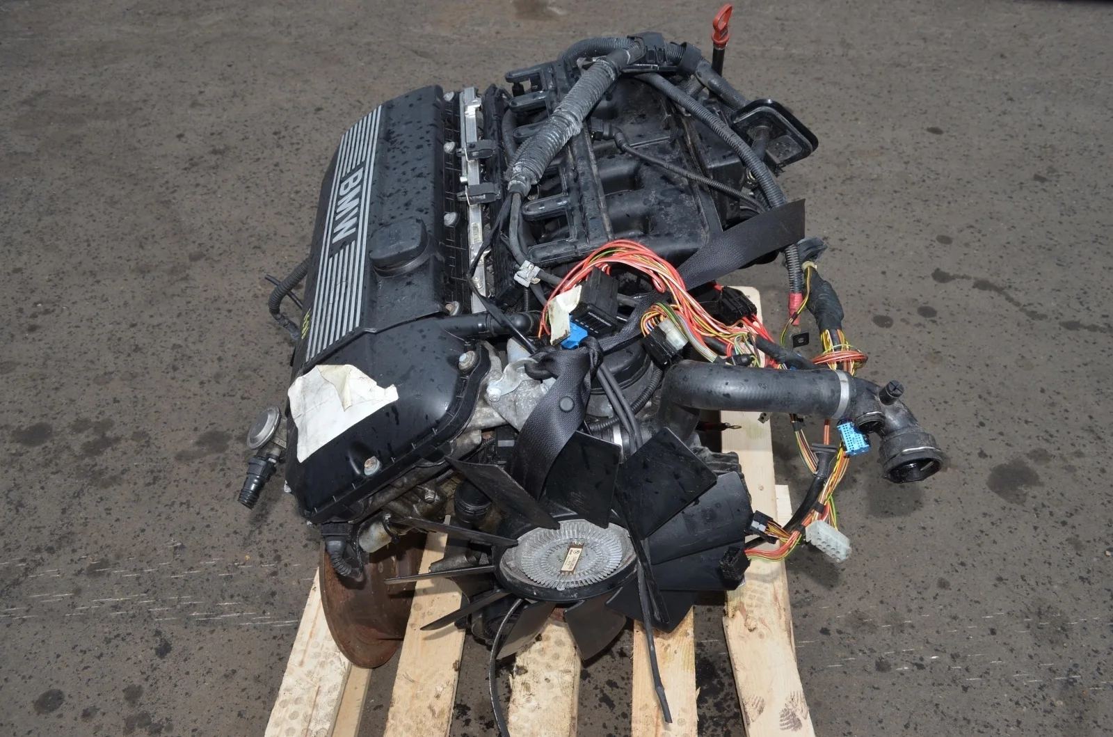 Двигатель ДВС BMW X5 2001 11007505188 E53 3.0 M54B30