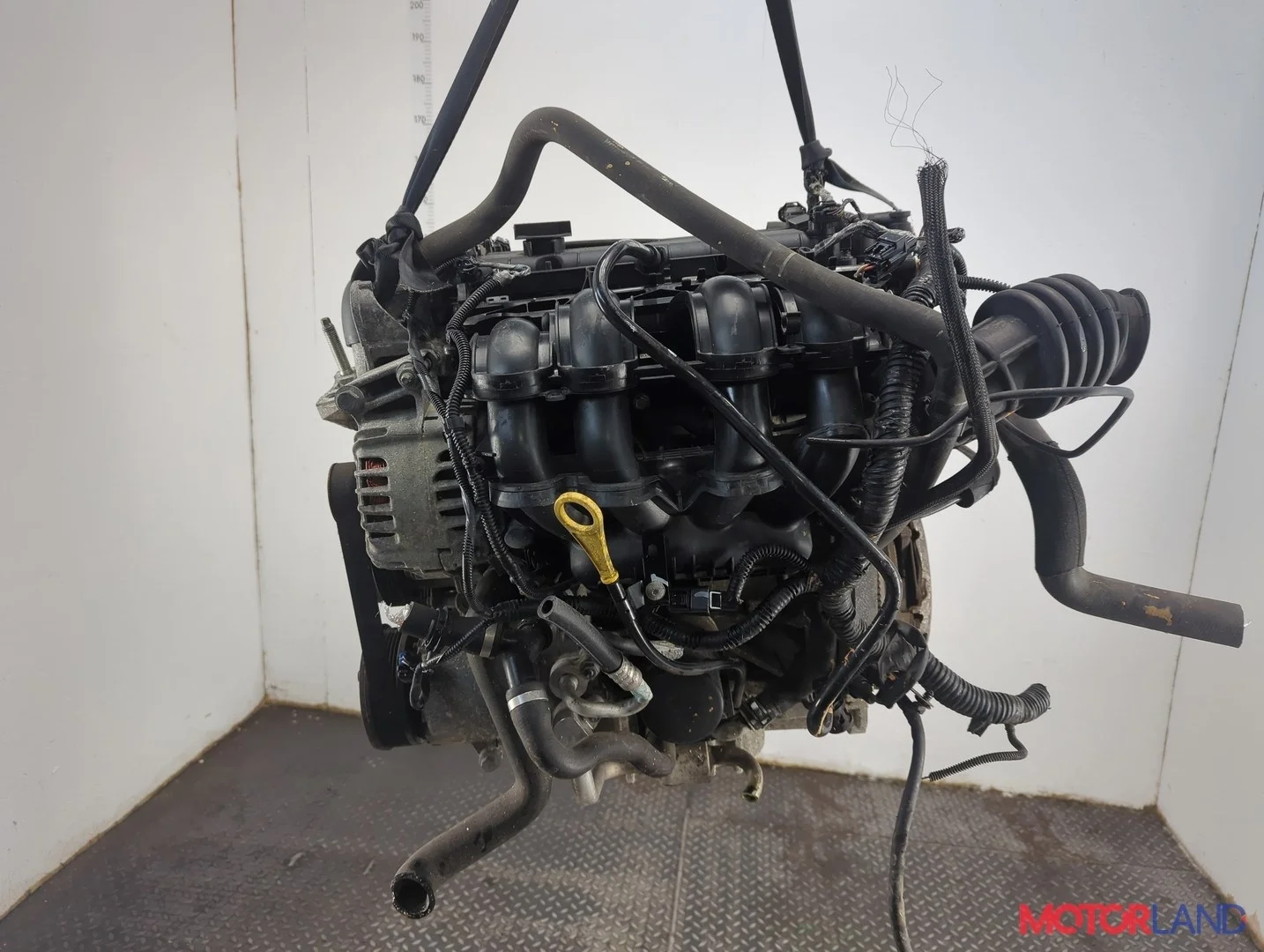 Двигатель (ДВС) Ford Focus 3 2011-2015 КПП 5-ст.мех.(МКПП) IQDA, IQDB Бензин 1.6 л Инжектор