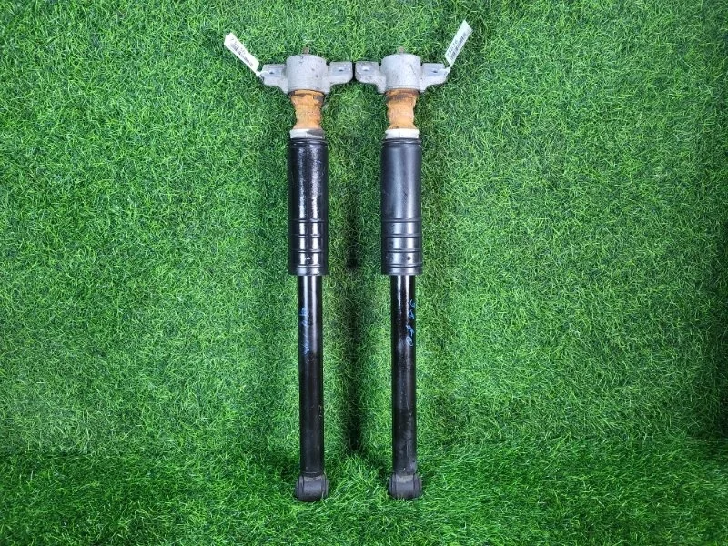 Амортизаторы комплект Chevrolet Aveo 2011 95479781 T300 F16D4, задние