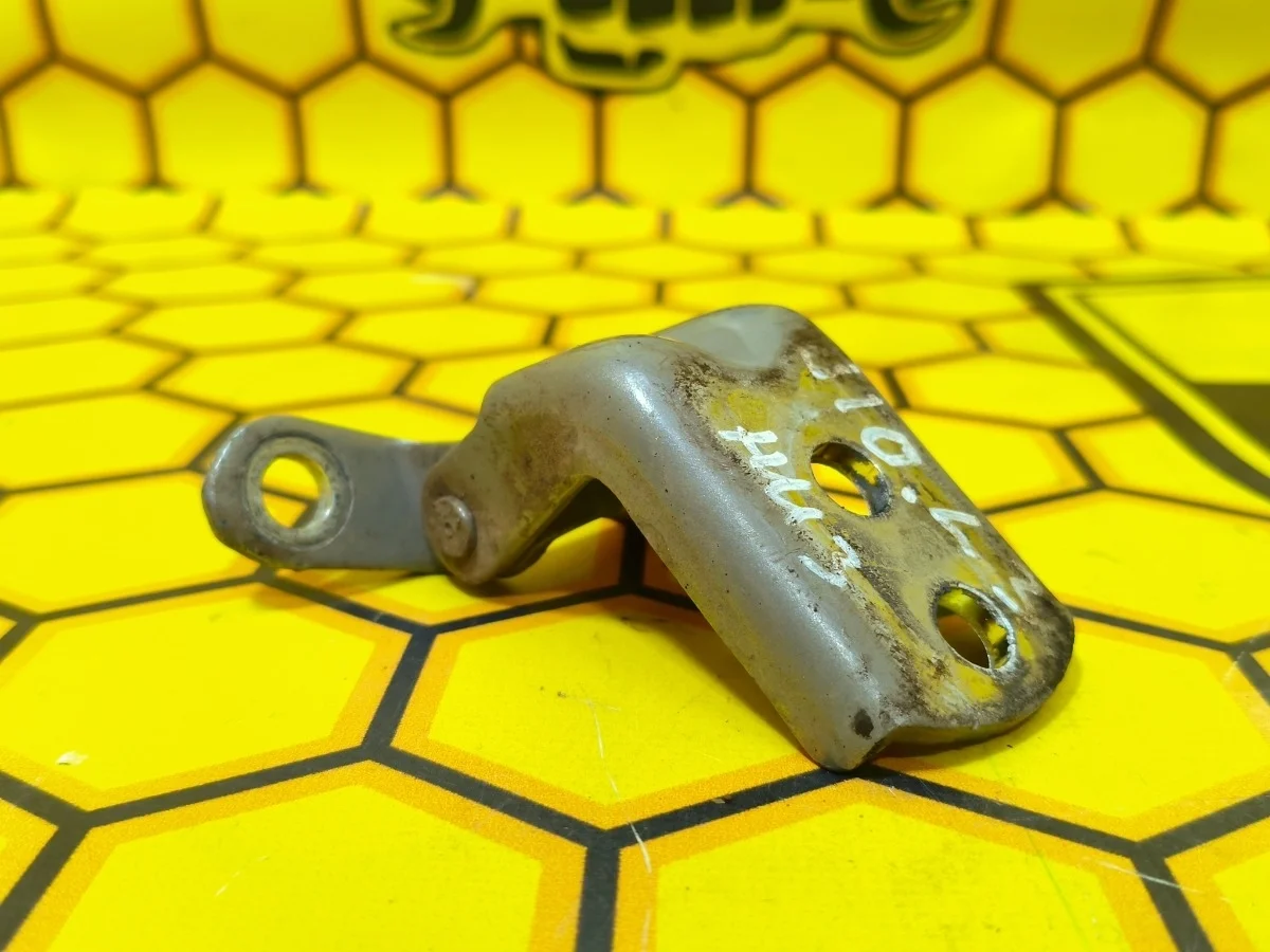 Петля двери задняя нижняя Nissan Qashqai 2007 824202F030 J10 MR20DE, левая