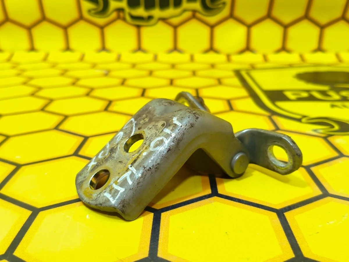 Петля двери передняя верхняя Nissan Qashqai 2007 824202F030 J10 MR20DE, правая