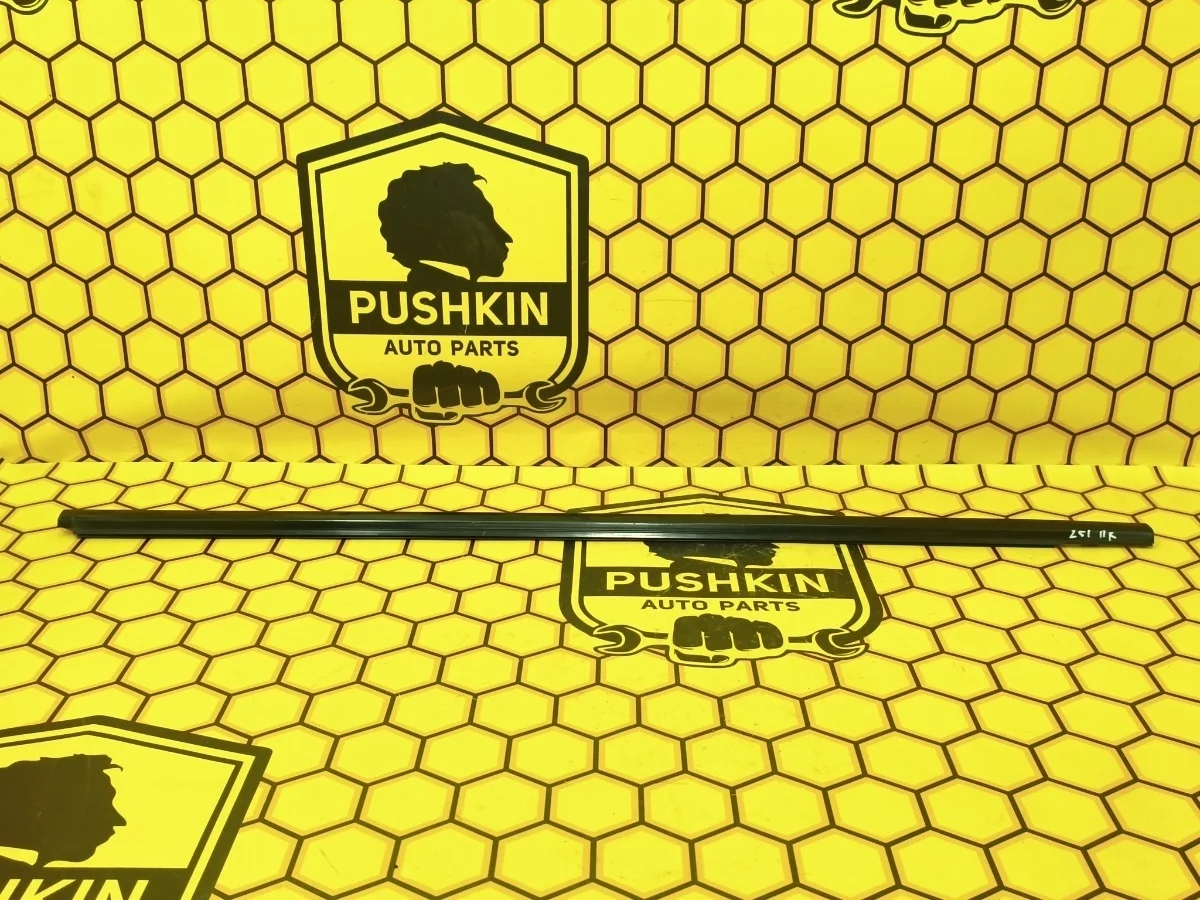 Бархотка внешняя Nissan Murano 2011 808201AA0A Z51 VQ35DE, передняя правая