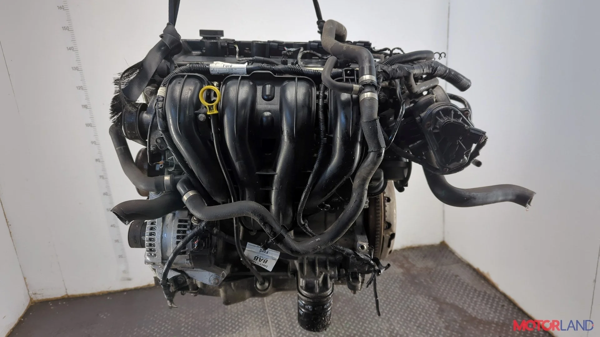 Двигатель (ДВС) Ford Focus 2 2008-2011 КПП 5-ст.мех.(МКПП) QQDB Бензин 1.8 л Инжектор