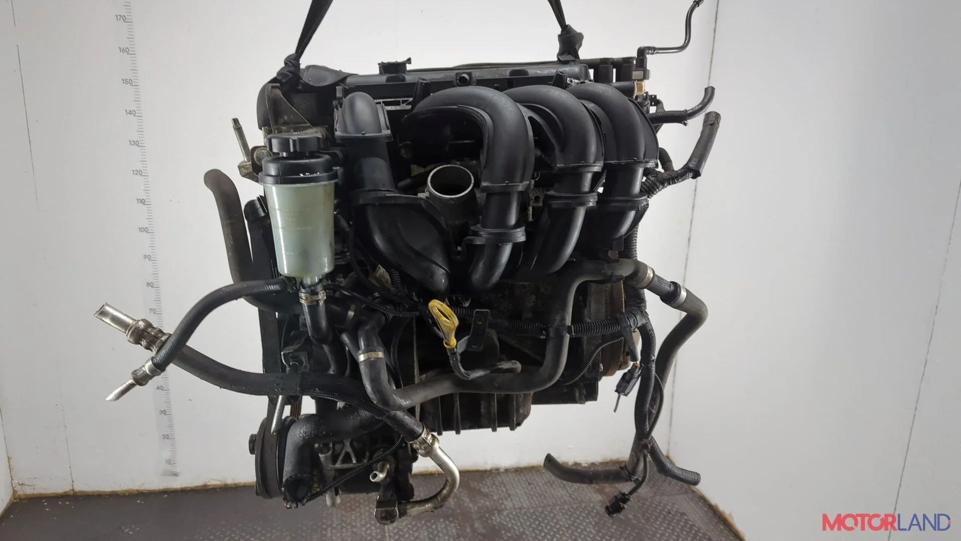 Двигатель (ДВС) Ford Focus 2 2008-2011 КПП 5-ст.мех.(МКПП) SHDA, SHDC Бензин 1.6 л Инжектор