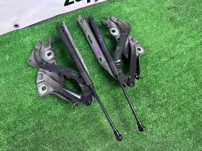 Петли капота AUDI S4 2017 B9