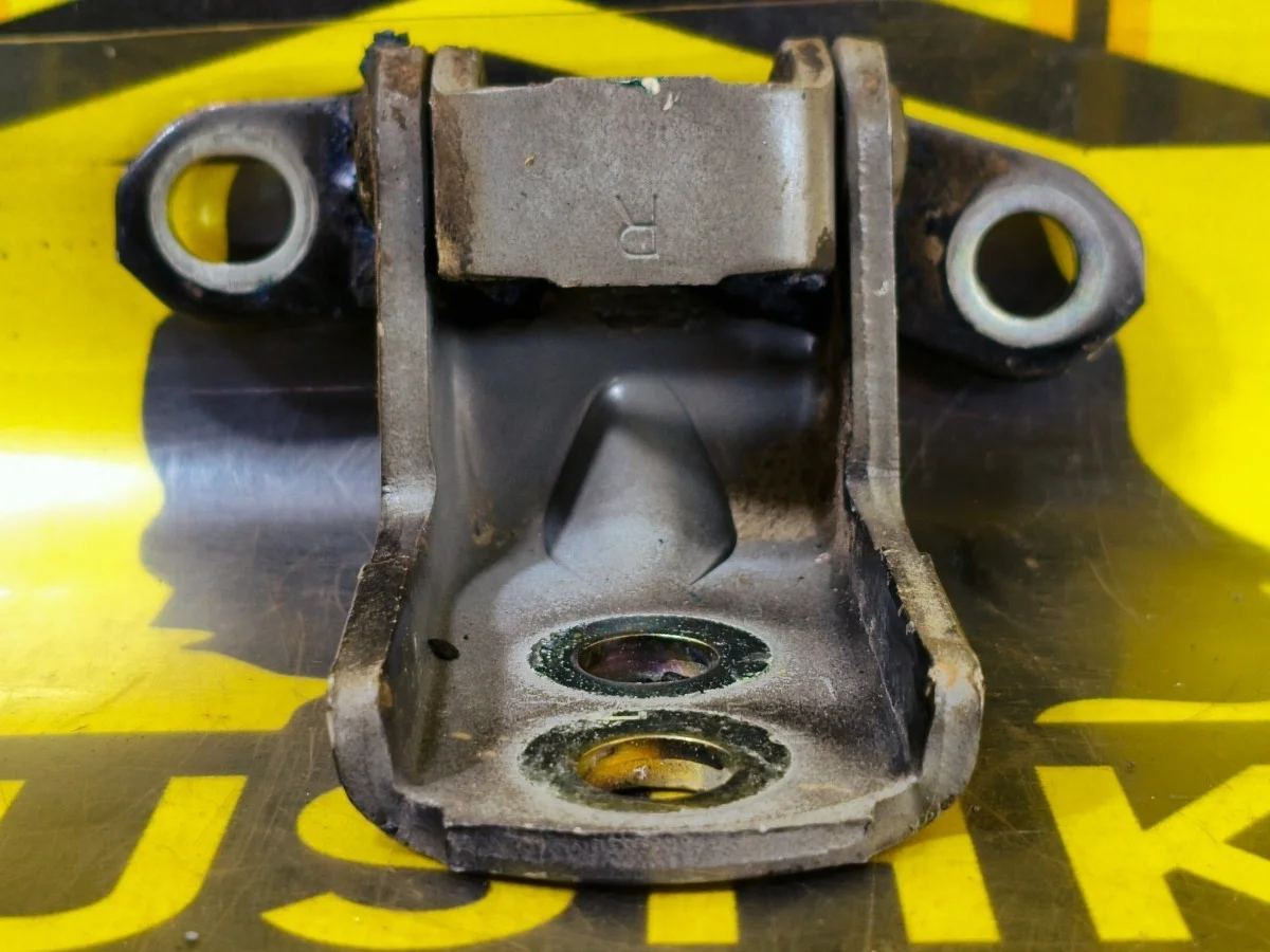 Петля двери Nissan X-TRAIL 2008 824204P00A T31 QR25DE, задняя правая