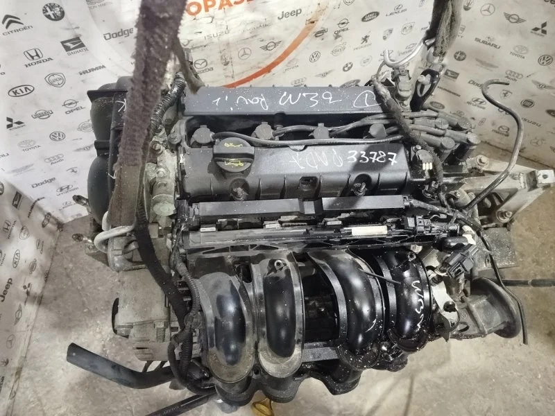 Двигатель Ford Focus 2014 ХЕТЧБЕК 1.6 PNDA