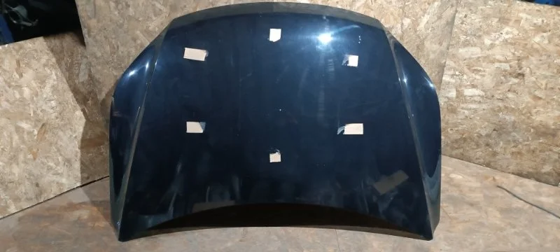 Капот Volkswagen Tiguan 2009 5N1