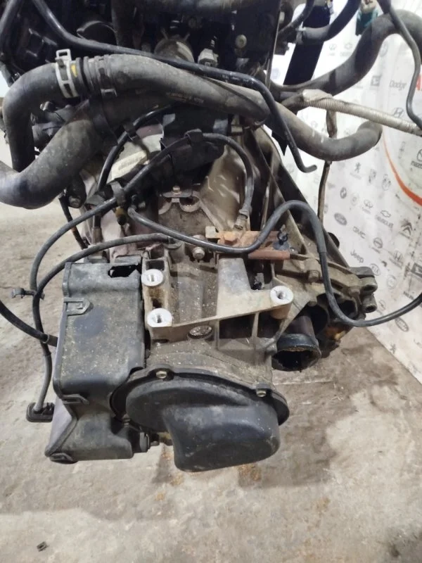 МКПП контрактная Ford Focus 2014 ХЕТЧБЕК 1.6 IQDB