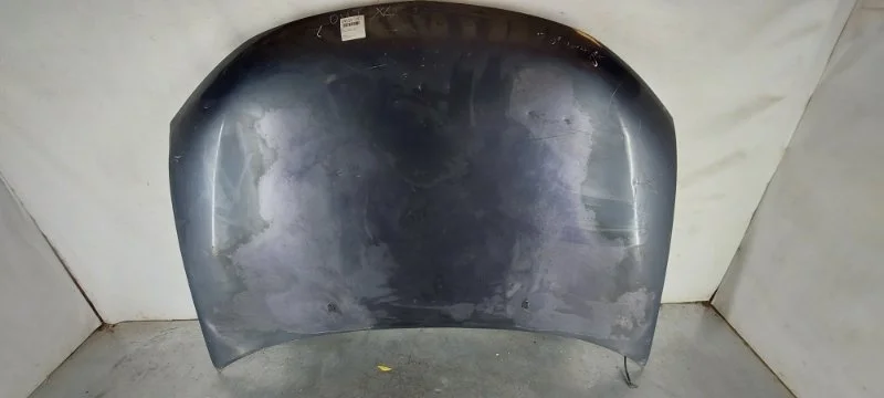 Капот Mitsubishi Outlander XL 2007-2009 5900A220