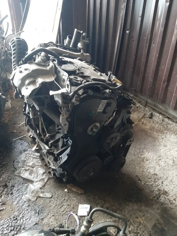 Двигатель Nissan X-Trail 2006-2013 1010200Q4N M9R 2.0Л 130-180ЛС