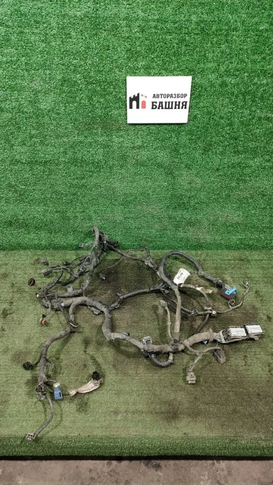 Проводка ДВС Ford Kuga 2014 1874498 CBS 1.6